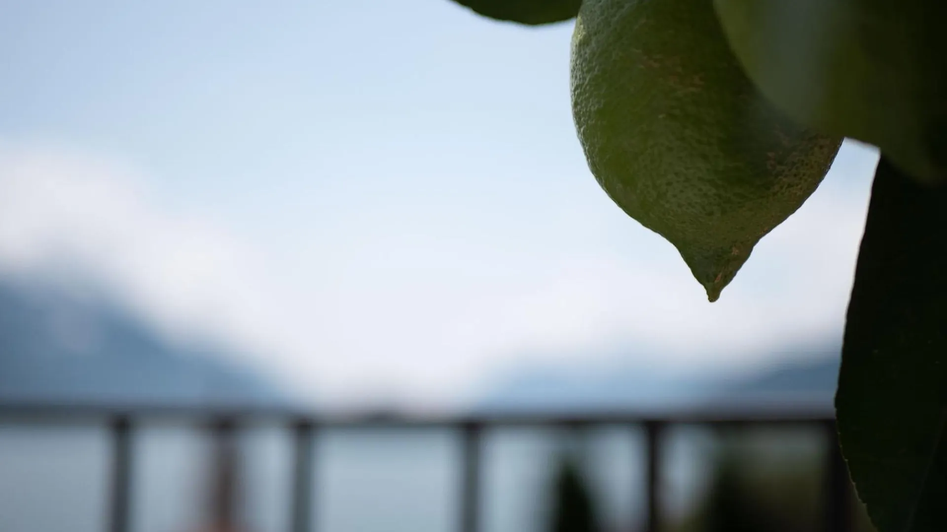 Casa Giorgio Luxury Apartment With Stunning View Menaggio Italy